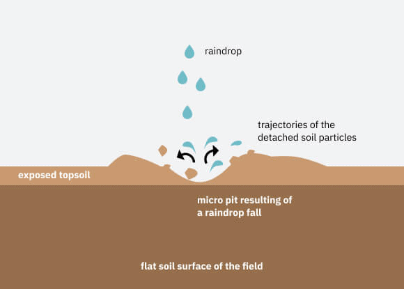 NCERT Summary: Soils- 1 UPSC Notes | EduRev