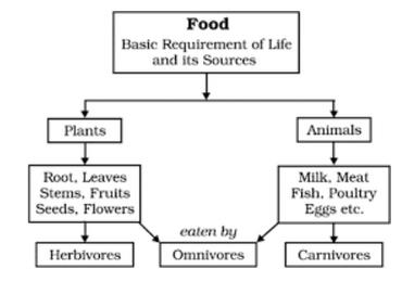 Key Concepts - Where Does it Come From? Class 6 Notes | EduRev