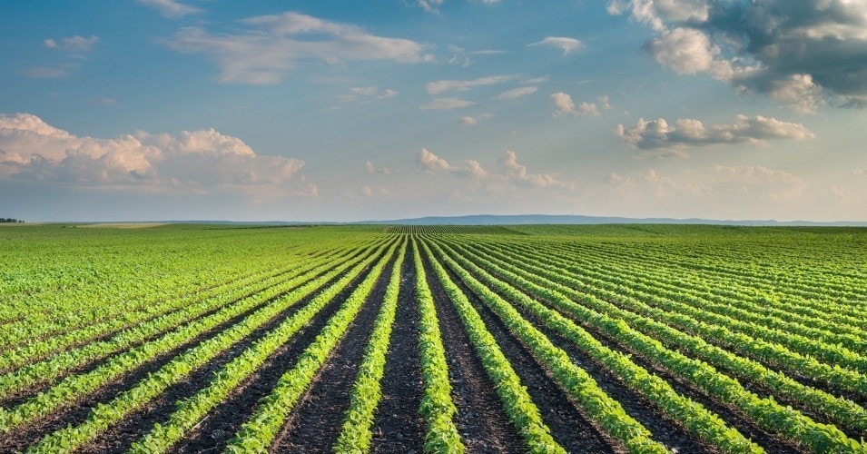 Chapter Notes - Crop Production and Management Class 8 Notes | EduRev