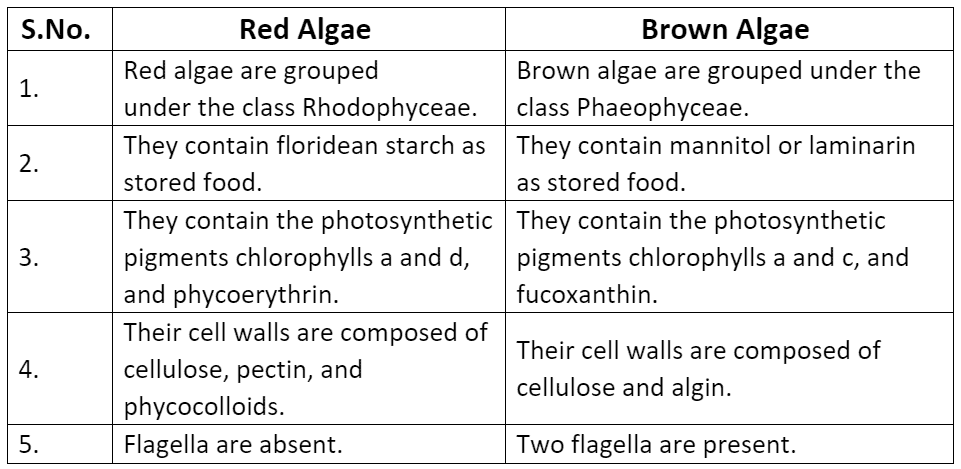 NCERT Solutions- Plant Kingdom NEET Notes | EduRev