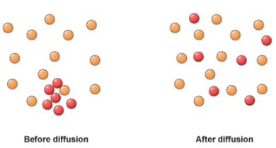 Short Notes - Matter In Our Surroundings, Science, Class 9 Class 9 Notes | EduRev