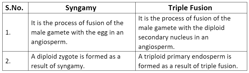 NCERT Solutions- Plant Kingdom NEET Notes | EduRev