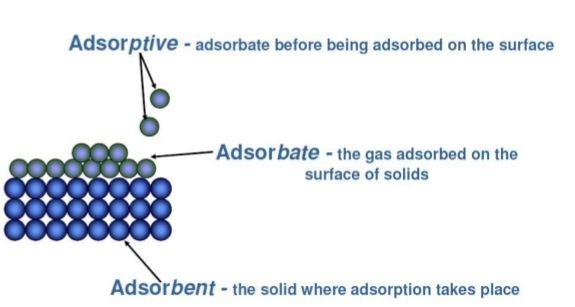 adsorption