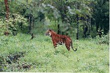 Physical Geography UPSC Notes | EduRev