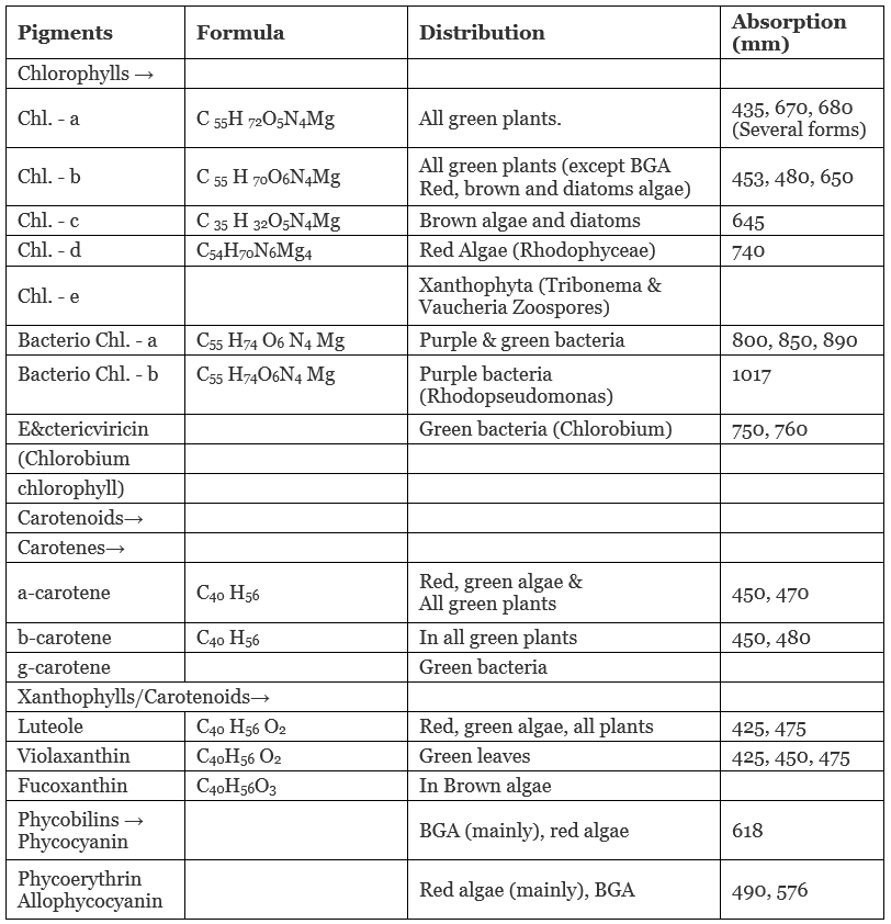 Chloroplast and Pigments NEET Notes | EduRev