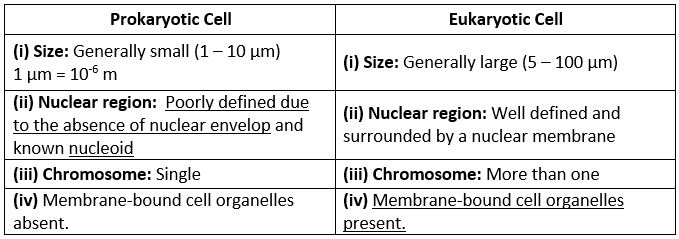 NCERT Solutions - The Fundamental Unit Of Life Class 9 Notes | EduRev