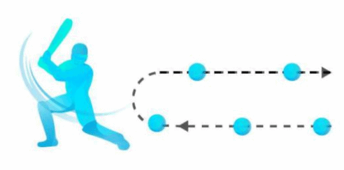 NCERT Exemplar (Part - 1) - Motion in a Straight Line Notes | EduRev