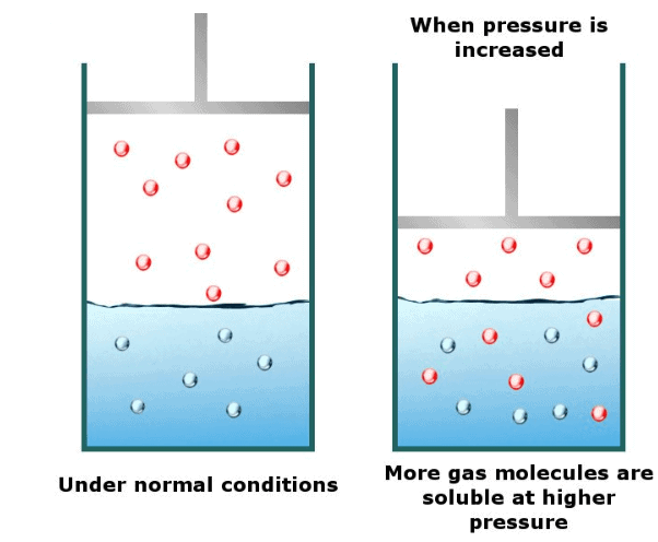 Factors Affecting Solubility   Techiescientist - 82