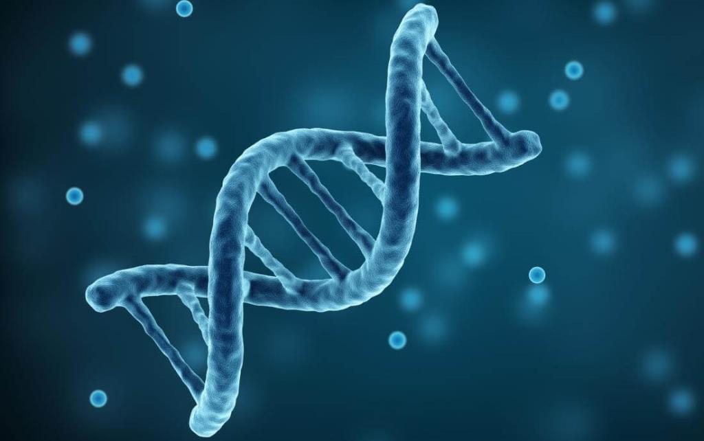 Introduction - Principles of Inheritance and Evolution NEET Notes | EduRev