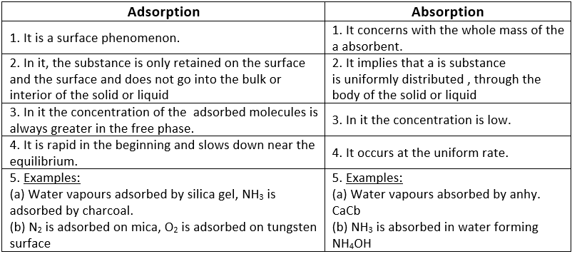 Doc: Adsorption and Absorption Class 12 Notes | EduRev