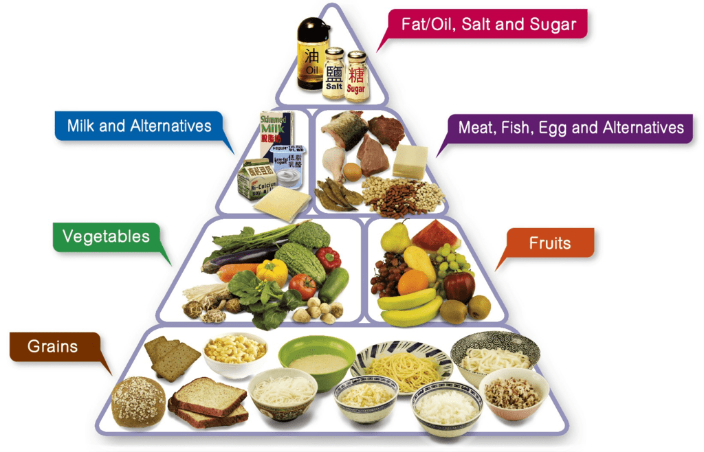 Key Concepts: Components of Food - Notes | Study Science Class 6 - Class 6