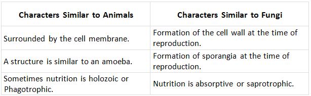 Kingdom Protista : Characteristics NEET Notes | EduRev