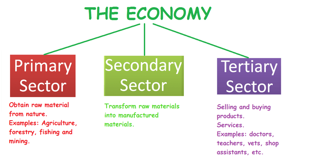 Previous Year Questions- Sectors Of The Indian Economy Class 10 Notes ...