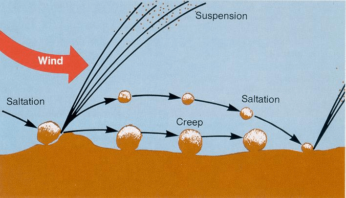 NCERT Summary: Soils- 1 UPSC Notes | EduRev