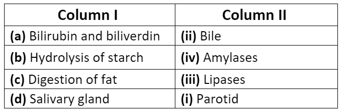 NCERT Solutions - Digestion and Absorption NEET Notes | EduRev