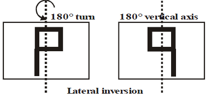 Image Formation by Concave and Convex Mirror Class 10 Notes | EduRev