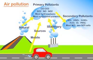 Shankar IAS: Summary of Environment Pollution UPSC Notes | EduRev