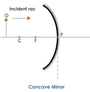 Class 10 Notes | EduRev