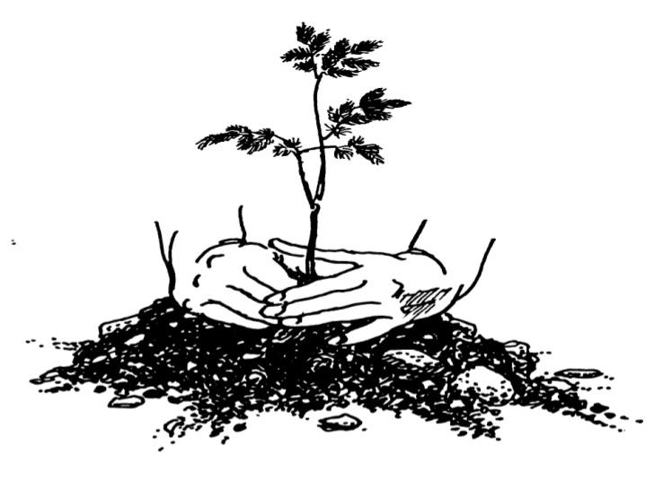 NCERT Gist: Natural Vegetation (Part - 1) UPSC Notes | EduRev