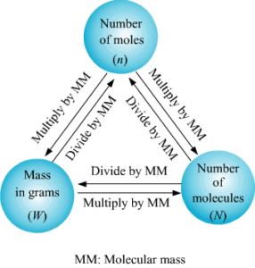 Atomic & Molecular Masses and Mole Concept Notes | EduRev