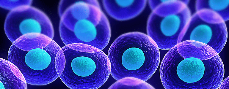 Cell, Types of Cell and Organisms Class 9 Notes | EduRev