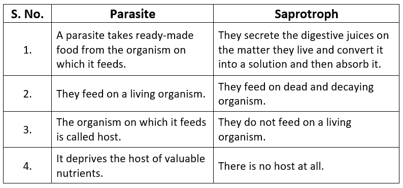 NCERT Solution - Nutrition in Plants Class 7 Notes | EduRev