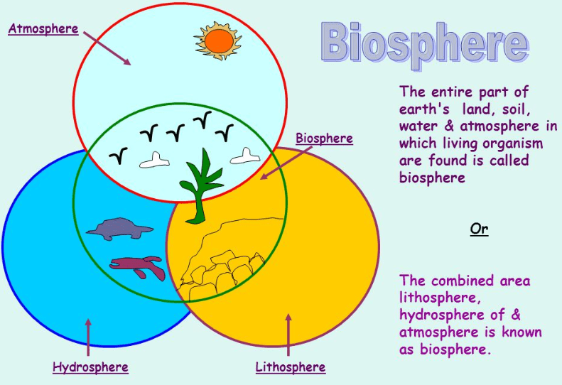 ncert-solutions-environment-class-7-notes-edurev