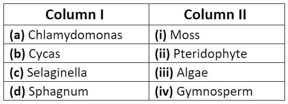 NCERT Solutions- Plant Kingdom NEET Notes | EduRev