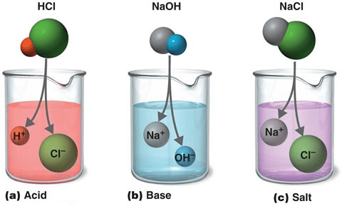 Overview of Acids and Bases Class 10 Notes | EduRev