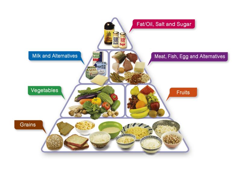 Key Concepts - Components of Food Class 6 Notes | EduRev