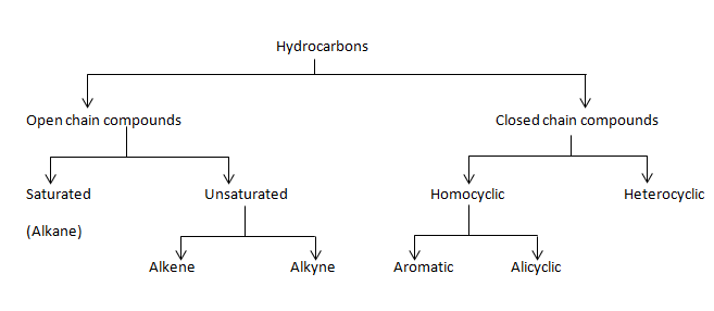 Allotropes of Carbon and Hydrocarbons Class 10 Notes | EduRev