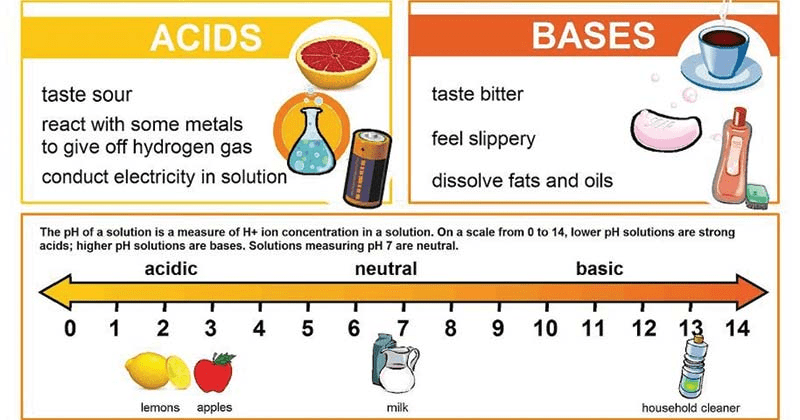 Overview Of Acids And Bases Class 10 Notes | EduRev