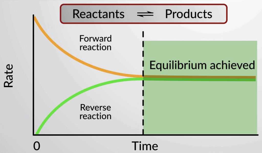Types of Equilibrium Class 11 Notes | EduRev