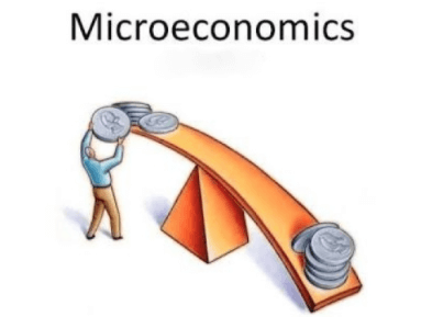 Basics of Microeconomics, Part - 1 UPSC Notes | EduRev