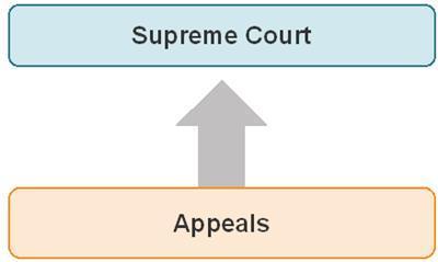 NCERT Summary: Judiciary - 1 Notes | EduRev