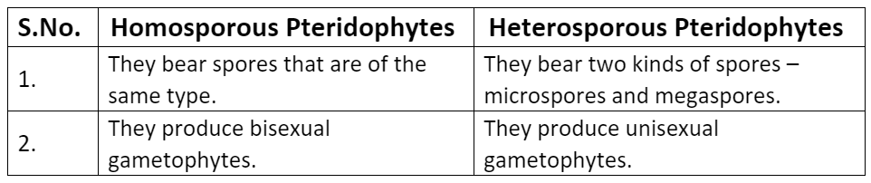 NCERT Solutions- Plant Kingdom NEET Notes | EduRev