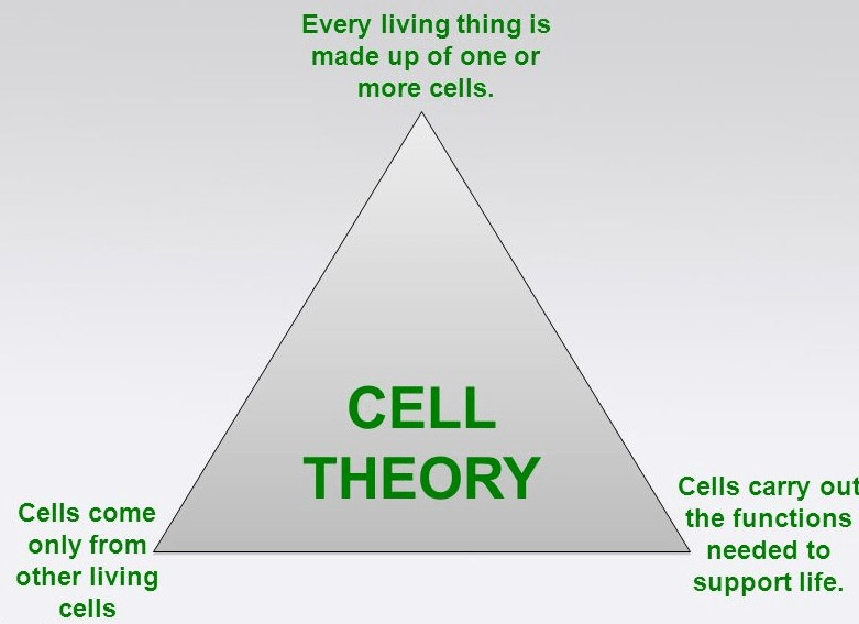 Cell, Types of Cell and Organisms Class 9 Notes | EduRev