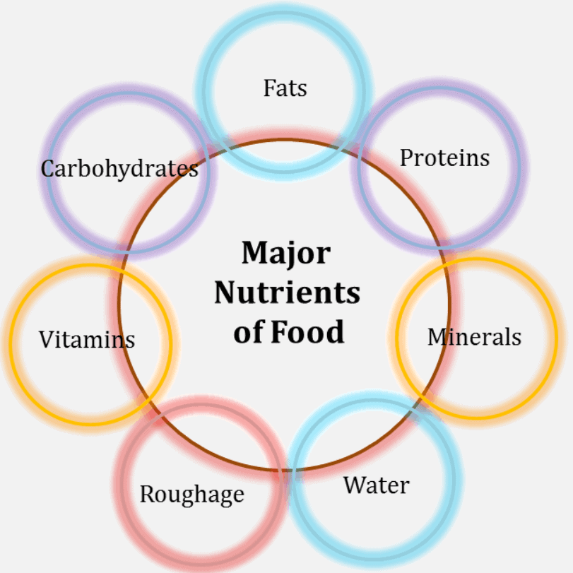 very-short-question-answers-components-of-food-class-6-notes-edurev