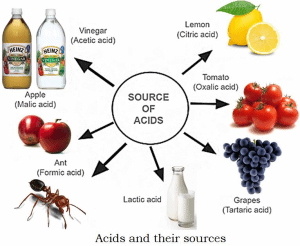 Detailed Chapter Notes - Acids,Bases & Salts, Class 10, Science ...