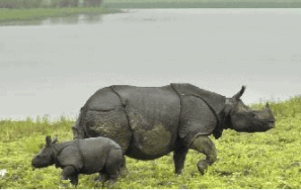 Physical Geography UPSC Notes | EduRev