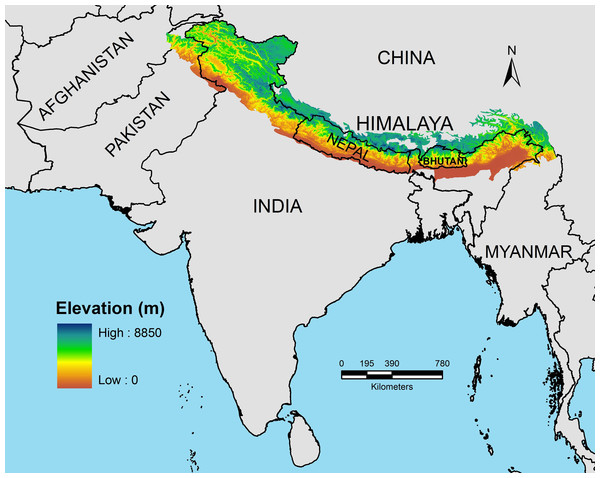 NCERT Gist: India - Location - 1 Notes | EduRev