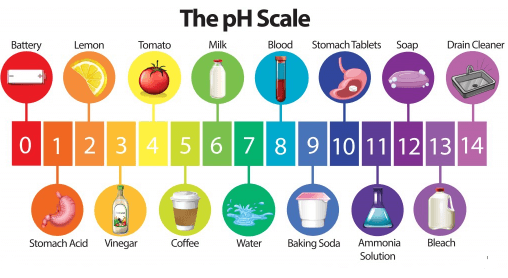 Class 10 Science Sample Paper 1 (Term 1) Class 10 Notes | EduRev