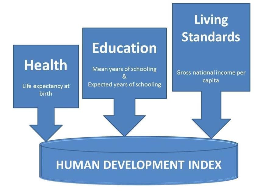 Ramesh Singh Summary: Growth, Development & Happiness UPSC Notes | EduRev