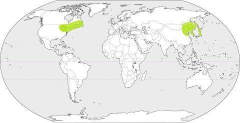 Natural Regions of The World UPSC Notes | EduRev
