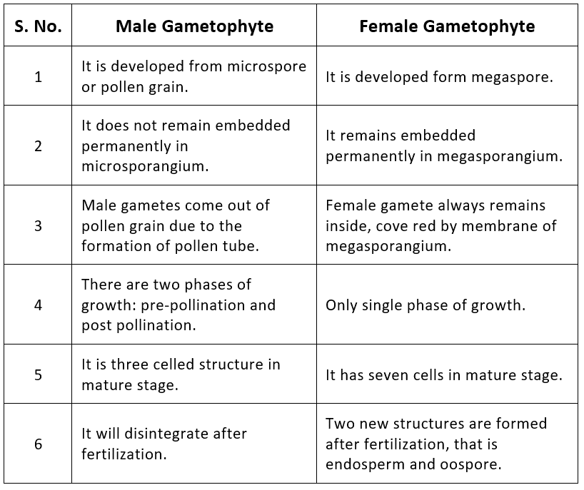Introduction of Sexual Reproduction in Flowering Plants NEET Notes | EduRev