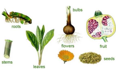 Key Concepts - Where Does it Come From? Class 6 Notes | EduRev