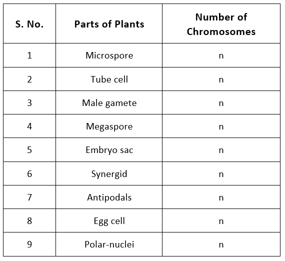 Embryo Development NEET Notes | EduRev