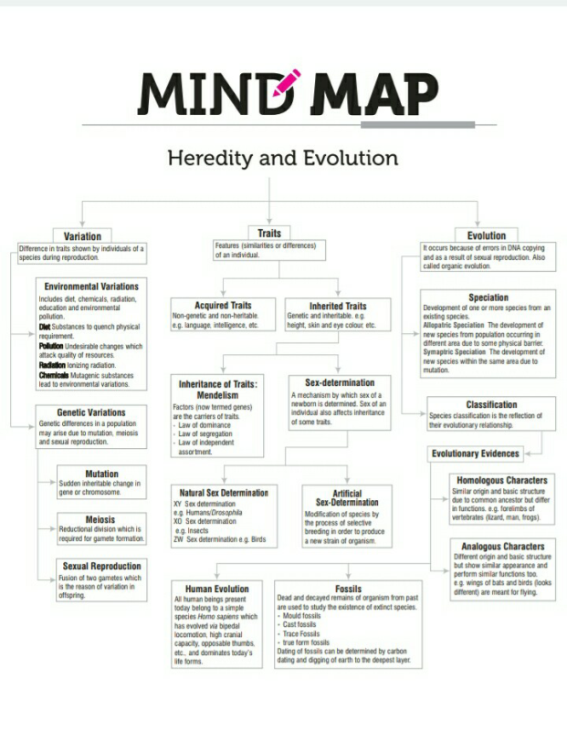 Heredity Concept Map 3852