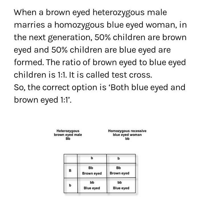 Blue eye colour is recessive to brown eye colour. Abrown eyed man whose
