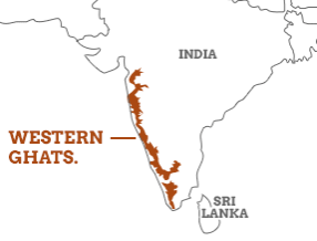 November 2020: Current Affairs Environment & Ecology UPSC Notes | EduRev
